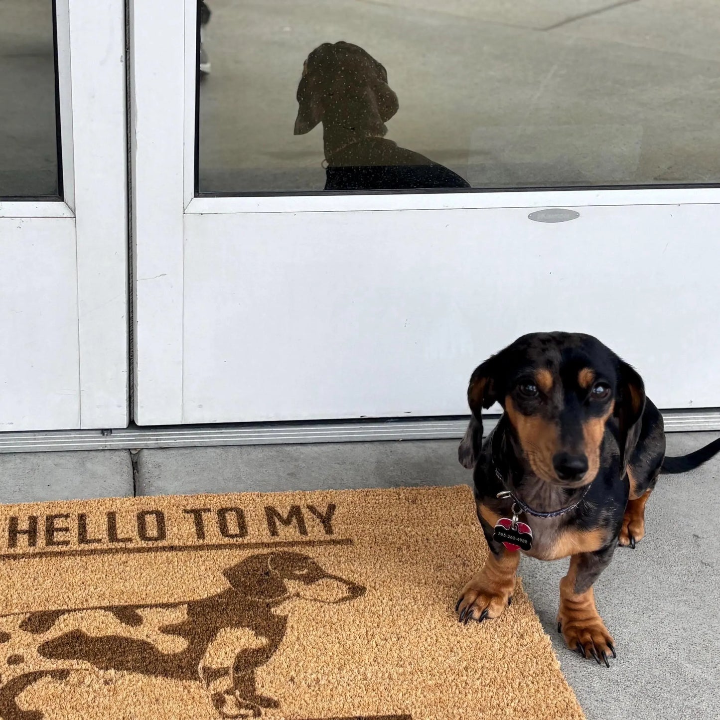 Say Hello To My Little Weiner Door Mat