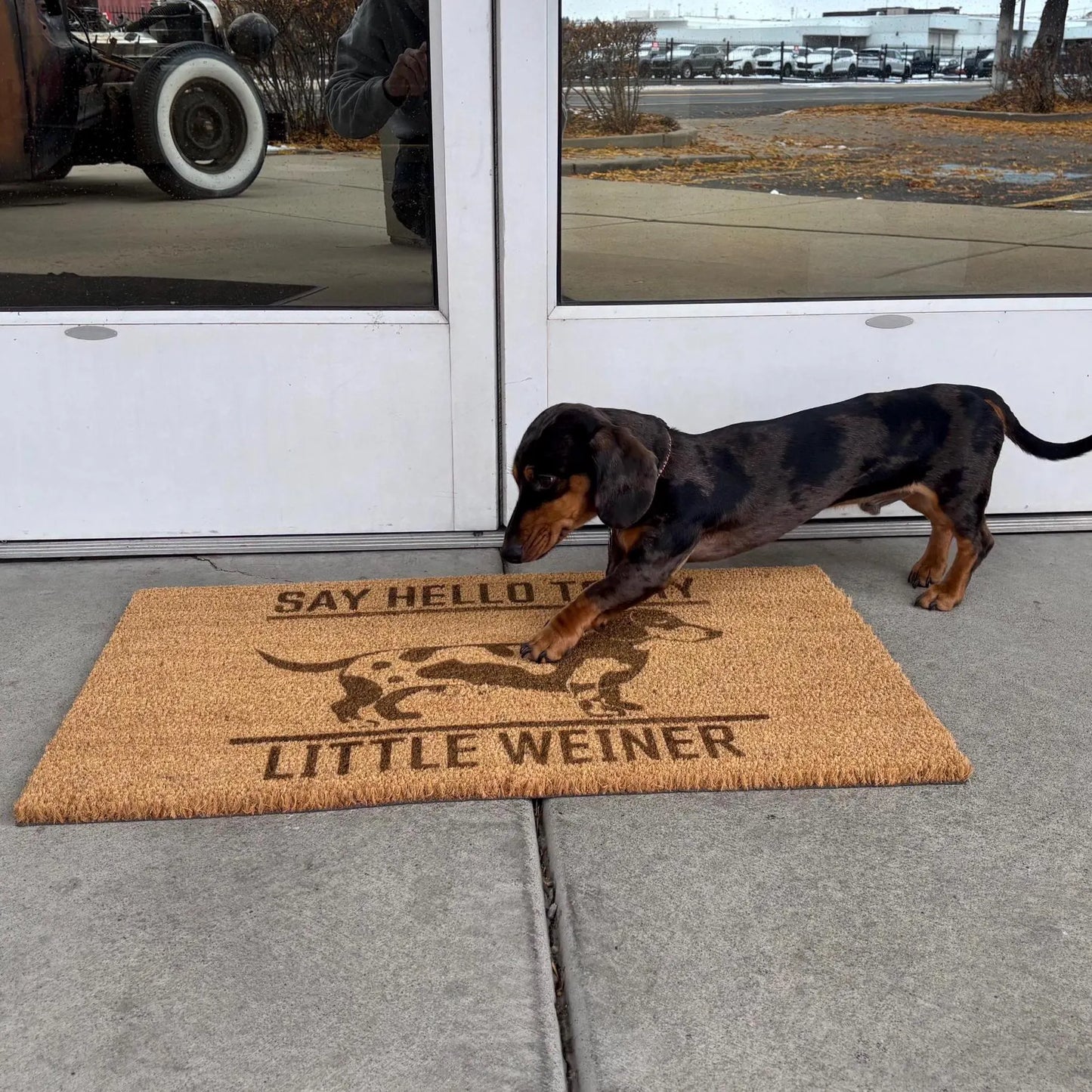 Say Hello To My Little Weiner Door Mat